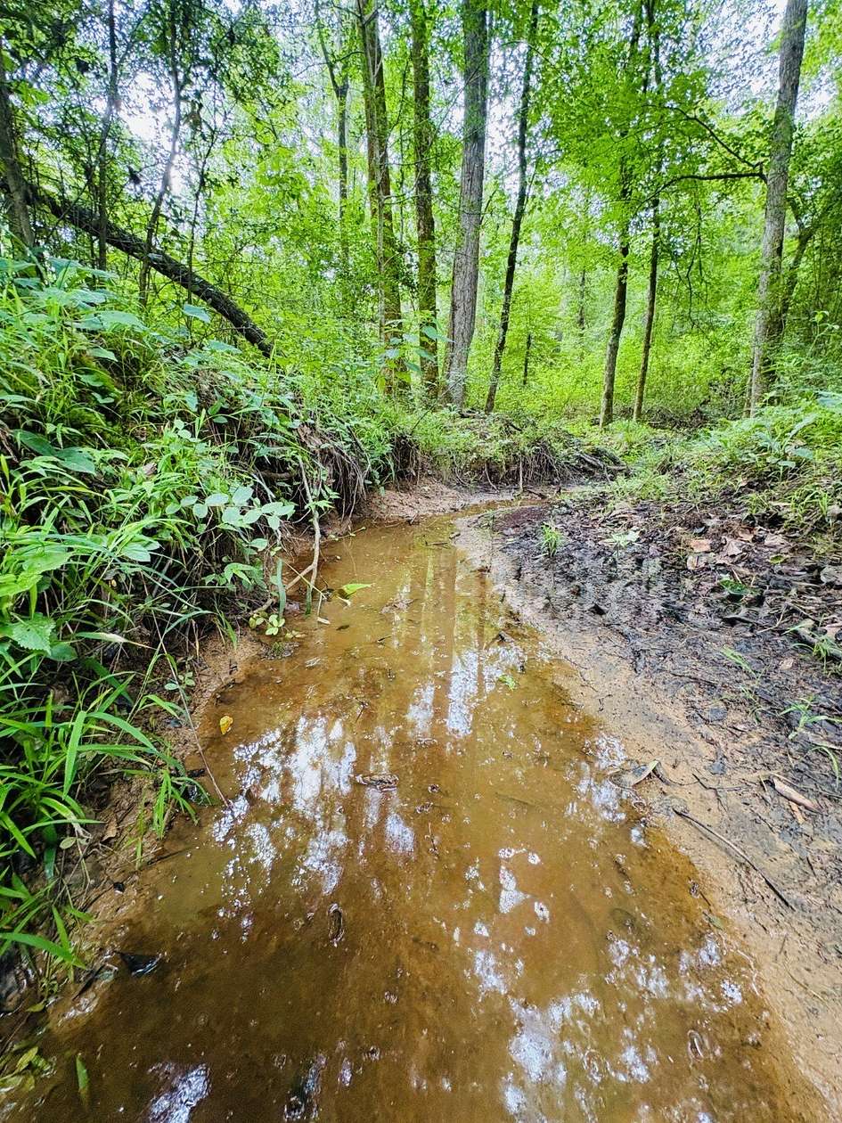 27.3 Acres of Recreational & Residential Land for Sale in Timpson, Texas