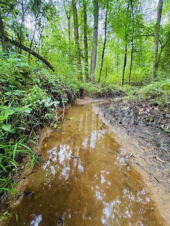27.3 Acres of Recreational & Residential Land for Sale in Timpson, Texas