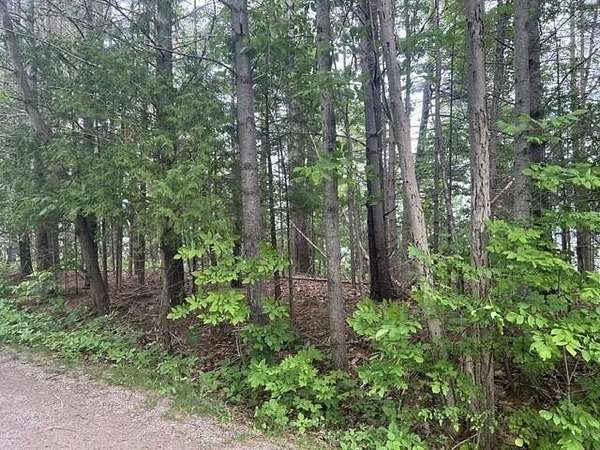0.18 Acres of Land for Sale in Cheboygan, Michigan