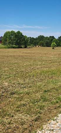 6.1 Acres of Residential Land for Sale in Wallingford, Kentucky