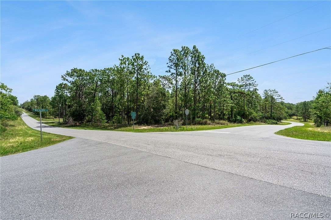 1.35 Acres of Residential Land for Sale in Citrus Springs, Florida