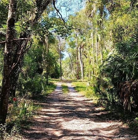 3.1 Acres of Residential Land for Sale in Crystal River, Florida