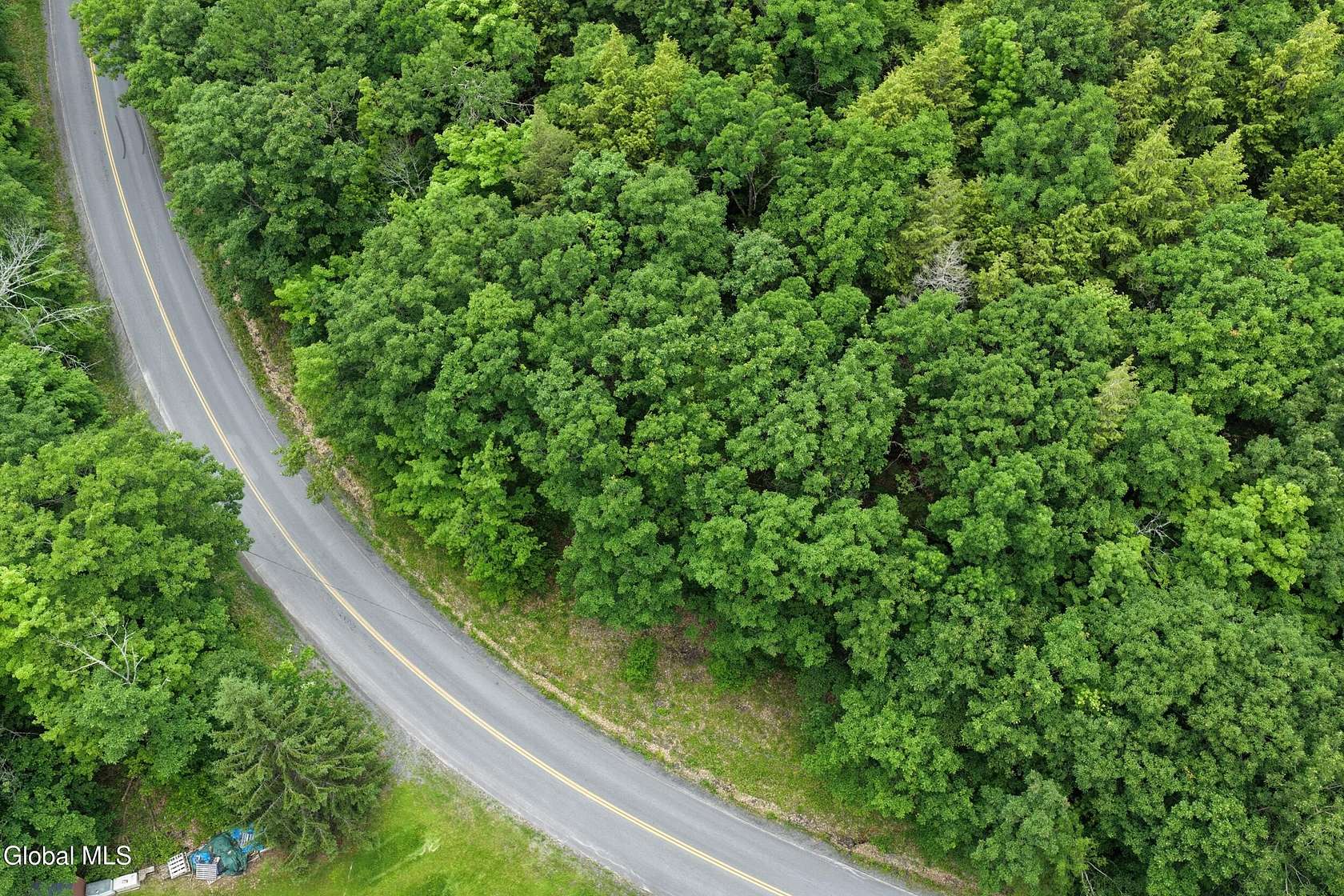 31.8 Acres of Recreational & Residential Land for Sale in Berne, New York
