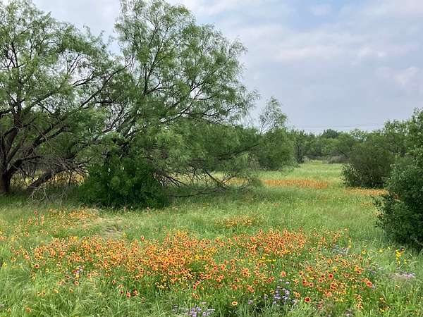 4.45 Acres of Residential Land for Sale in Kingsland, Texas
