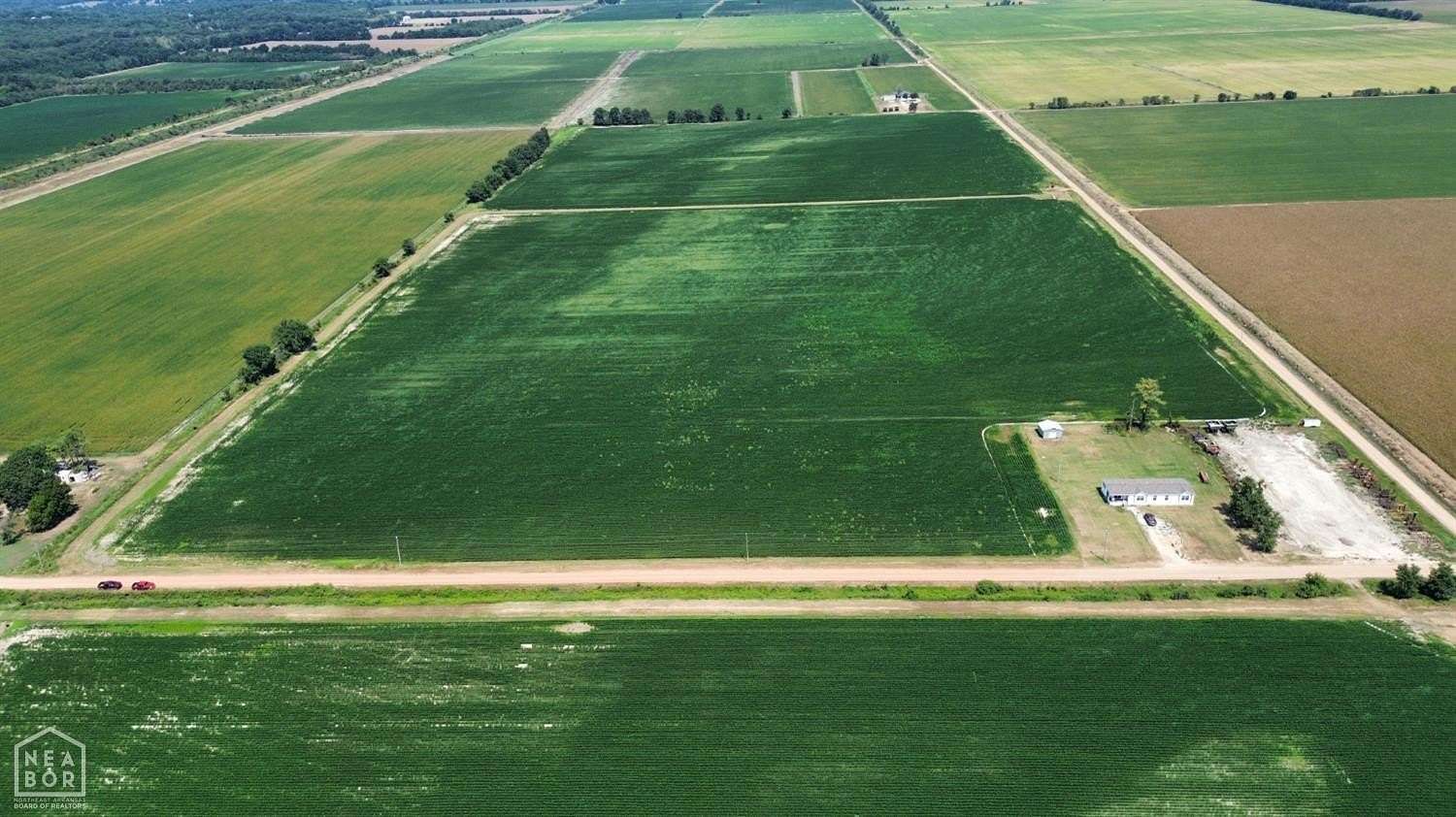 77.8 Acres of Agricultural Land for Sale in Trumann, Arkansas