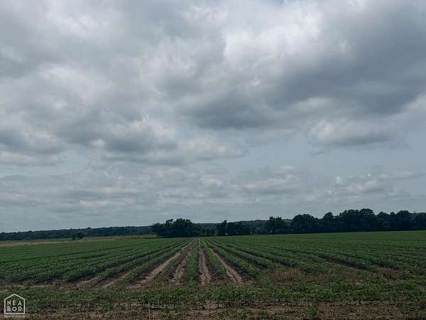 77.8 Acres of Agricultural Land for Sale in Trumann, Arkansas