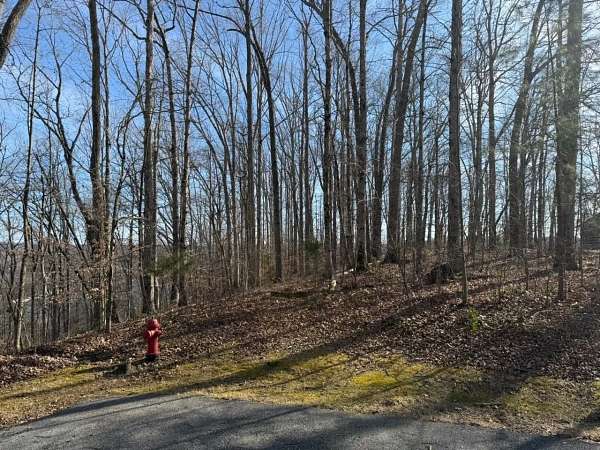 1.35 Acres of Land for Sale in Sparta, Tennessee