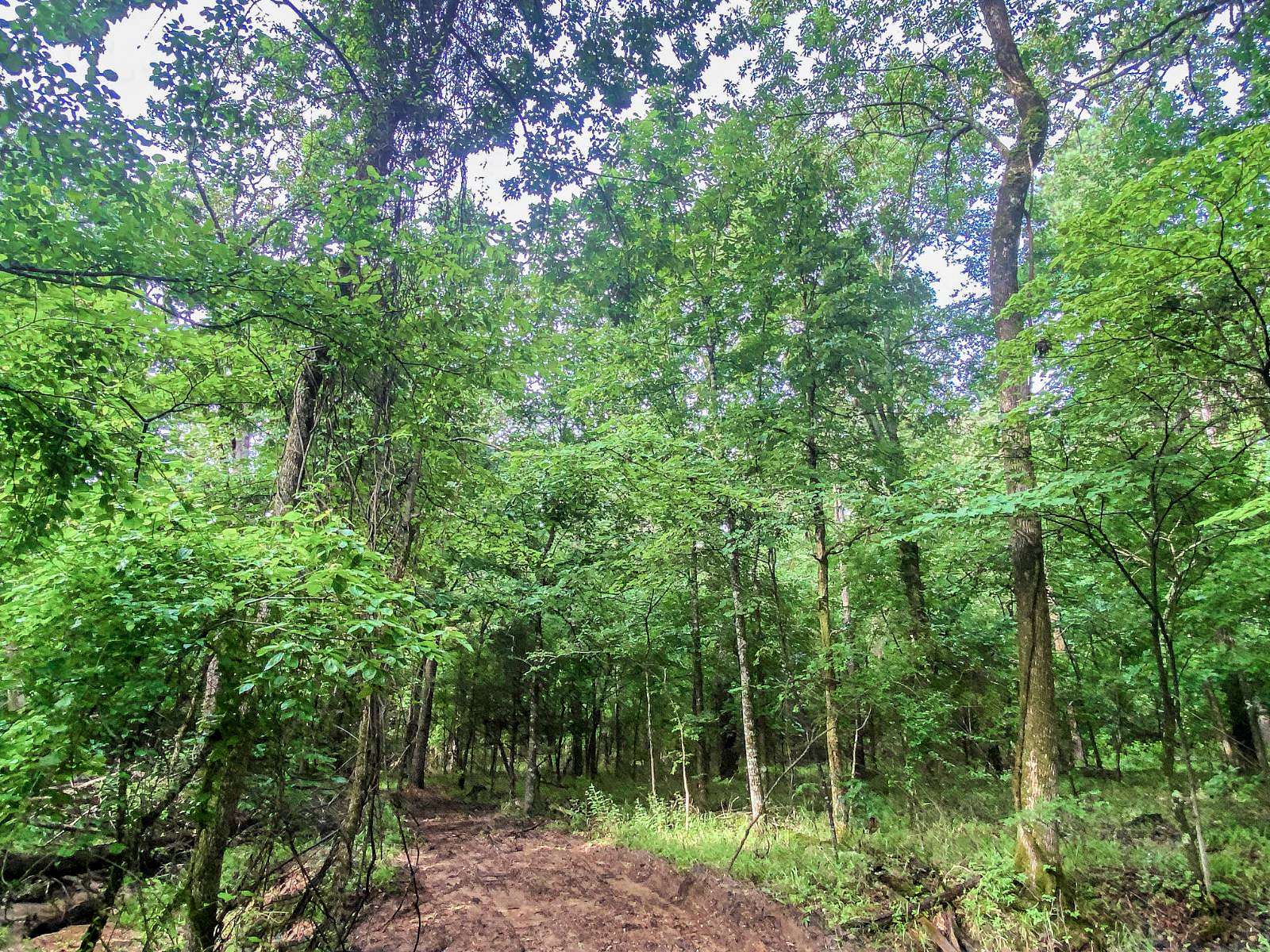 1.3 Acres of Residential Land for Sale in Broken Bow, Oklahoma