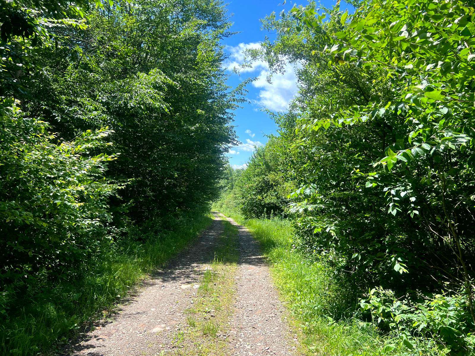 5 Acres of Land for Sale in Annsville Town, New York