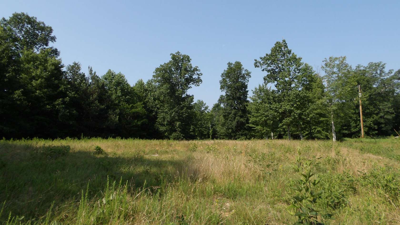13.9 Acres of Recreational & Residential Land for Sale in Gainesboro, Tennessee