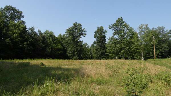 13.9 Acres of Recreational & Residential Land for Sale in Gainesboro, Tennessee