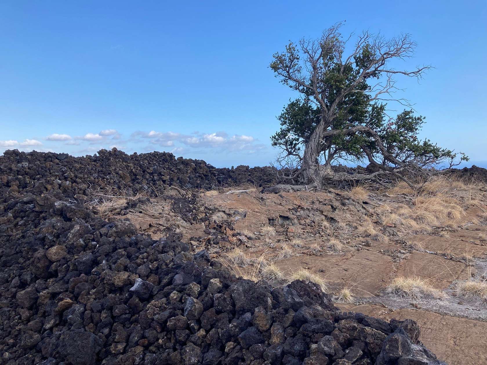 21.3 Acres of Land for Sale in Hawaiian Ocean View, Hawaii