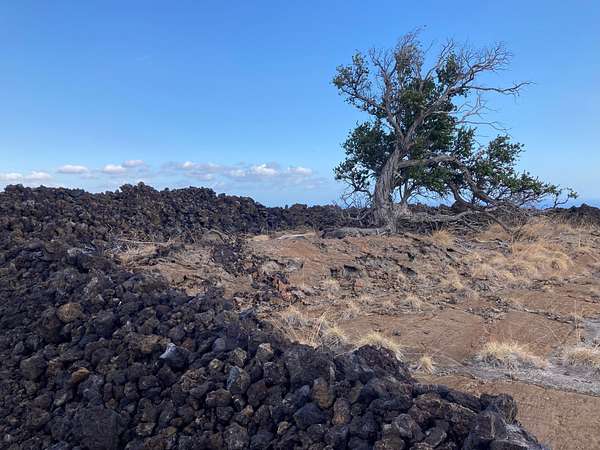 21.3 Acres of Land for Sale in Hawaiian Ocean View, Hawaii