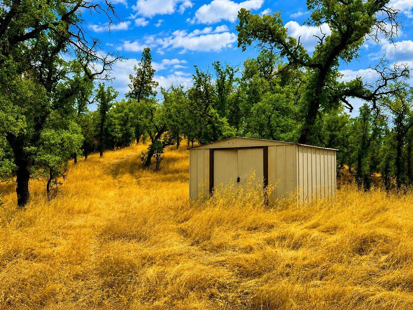 8.3 Acres of Residential Land for Sale in Cottonwood, California