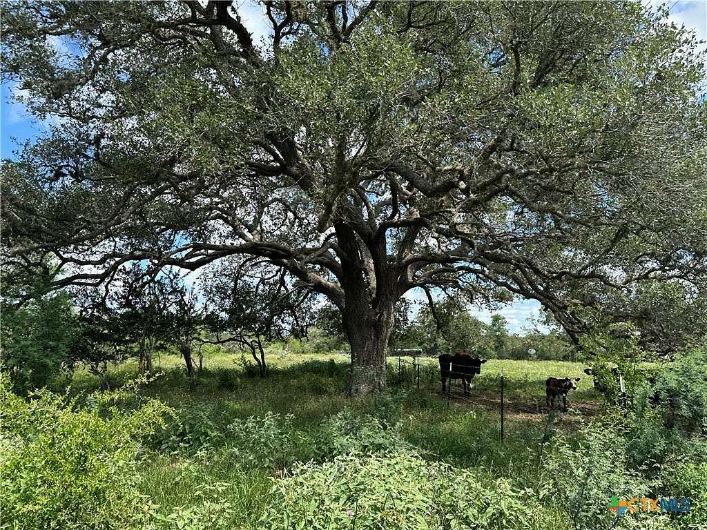 23.7 Acres of Recreational & Residential Land for Sale in Meyersville, Texas