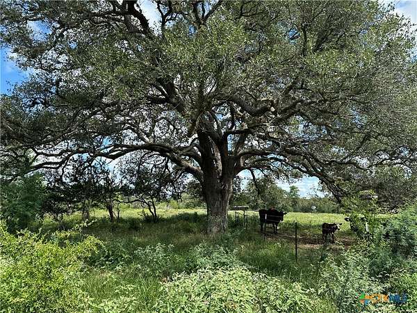 23.7 Acres of Recreational & Residential Land for Sale in Meyersville, Texas