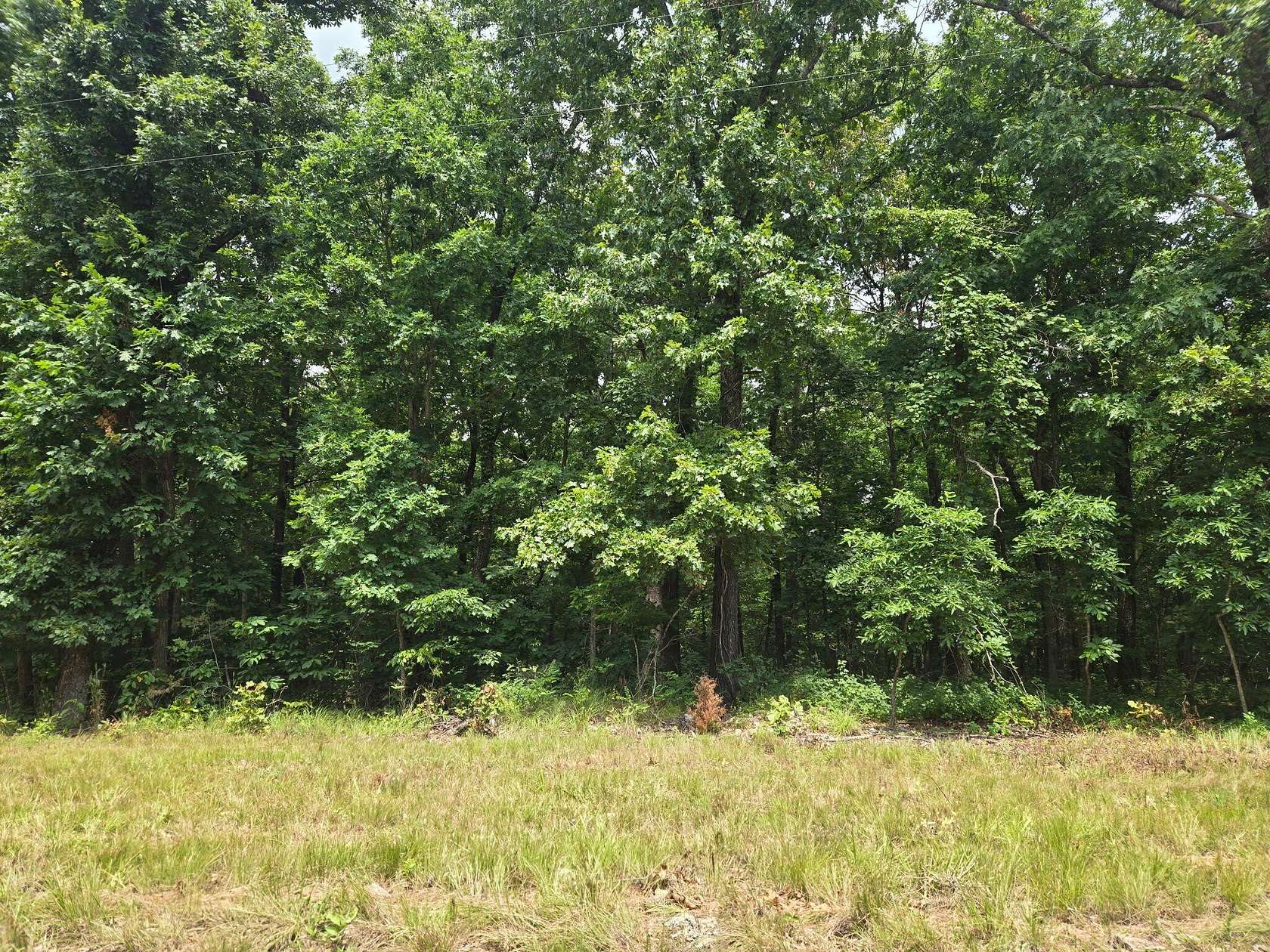 25 Acres of Recreational Land for Sale in Elkland, Missouri