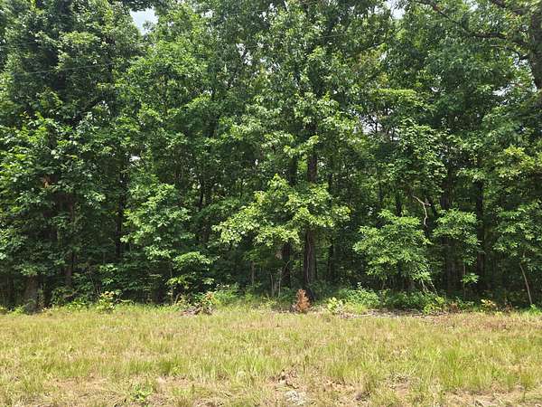 25 Acres of Recreational Land for Sale in Elkland, Missouri