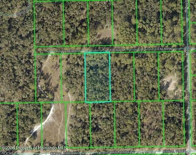 1.24 Acres of Residential Land for Sale in Webster, Florida
