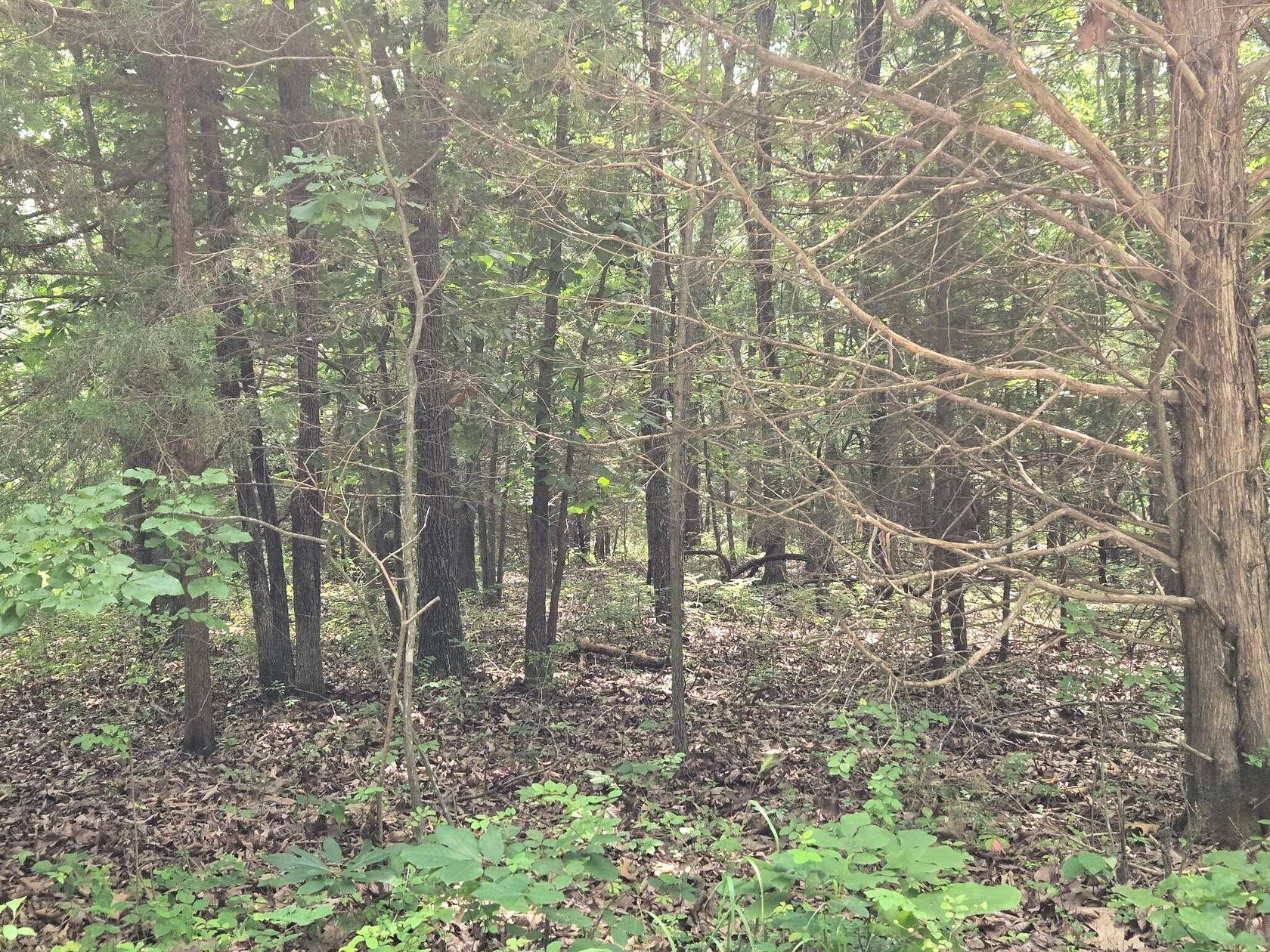 6.2 Acres of Residential Land for Sale in Elkland, Missouri