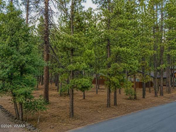 0.32 Acres of Residential Land for Sale in Pinetop, Arizona