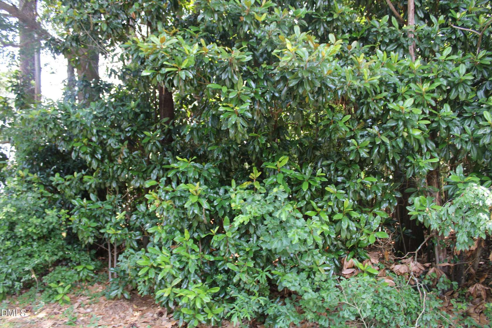 0.46 Acres of Residential Land for Sale in Goldsboro, North Carolina