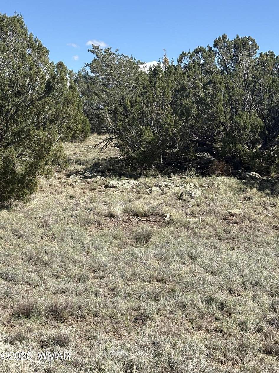 5 Acres of Residential Land for Sale in Concho, Arizona