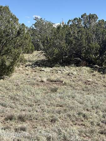 5 Acres of Residential Land for Sale in Concho, Arizona