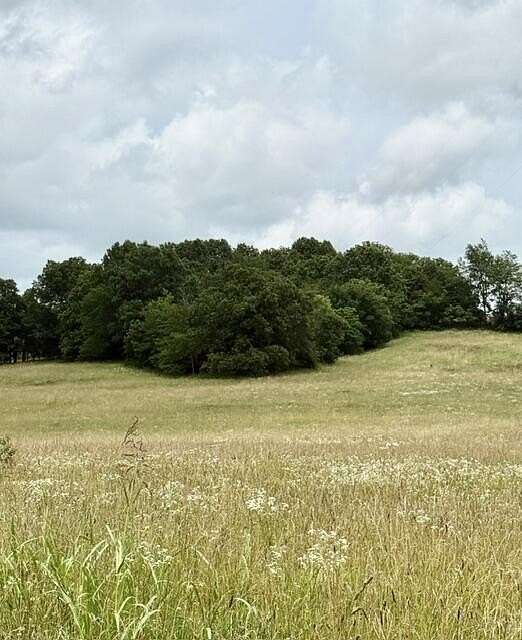 10.2 Acres of Land for Sale in Fordland, Missouri