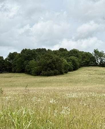 10.2 Acres of Land for Sale in Fordland, Missouri