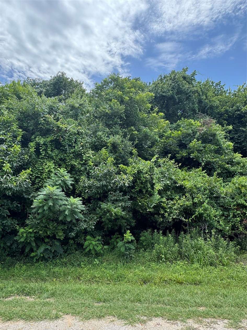 0.35 Acres of Residential Land for Sale in Whitney, Texas