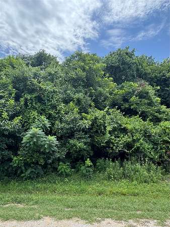 0.35 Acres of Residential Land for Sale in Whitney, Texas