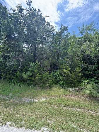 0.35 Acres of Residential Land for Sale in Whitney, Texas