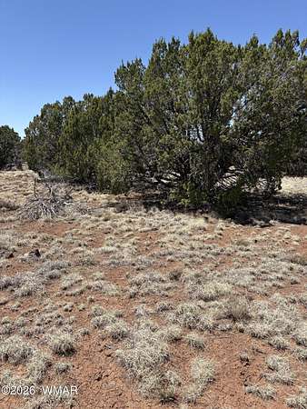 5 Acres of Residential Land for Sale in Concho, Arizona