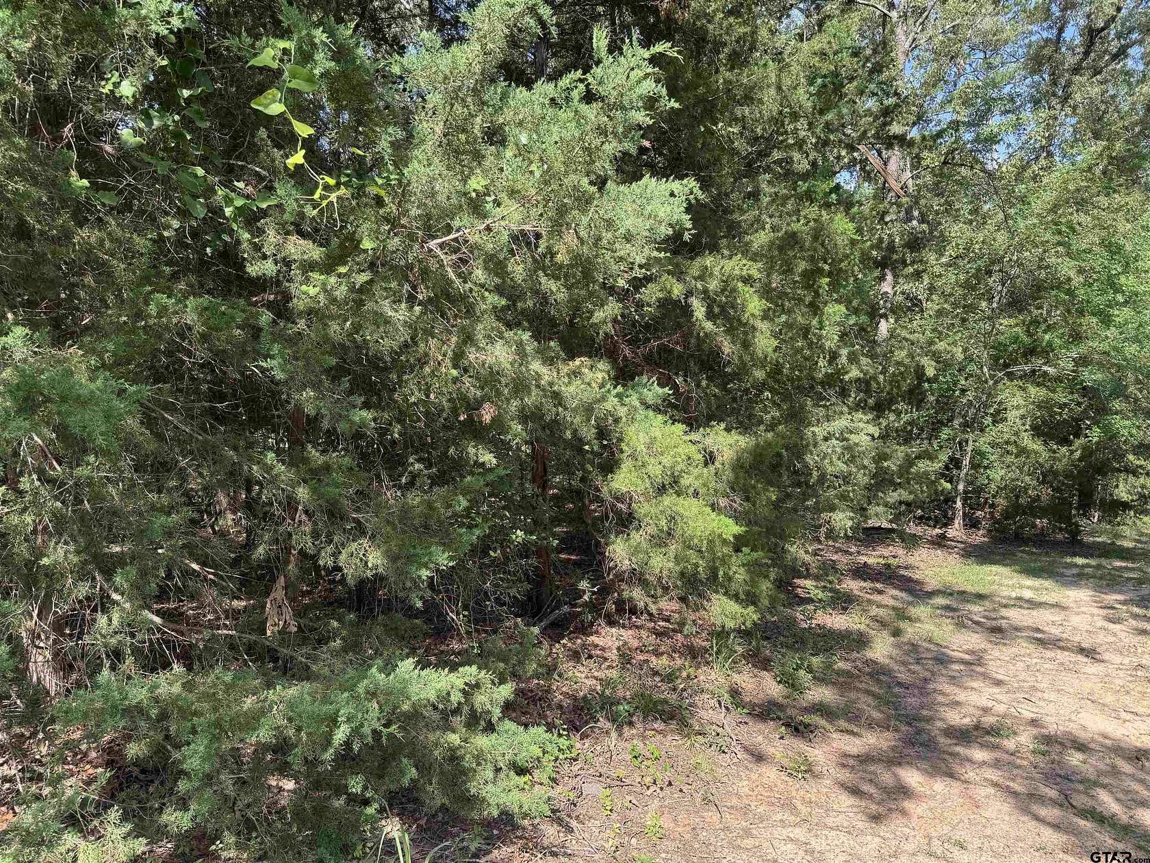 0.3 Acres of Residential Land for Sale in Mount Vernon, Texas