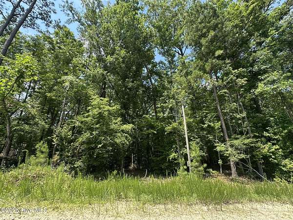 0.94 Acres of Residential Land for Sale in Lincolnton, Georgia