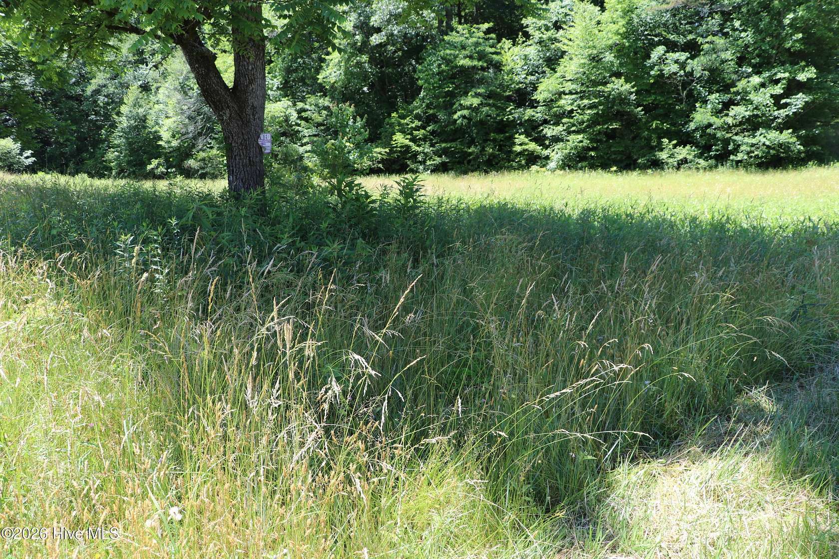 34 Acres of Recreational & Residential Land for Sale in Marble, North Carolina