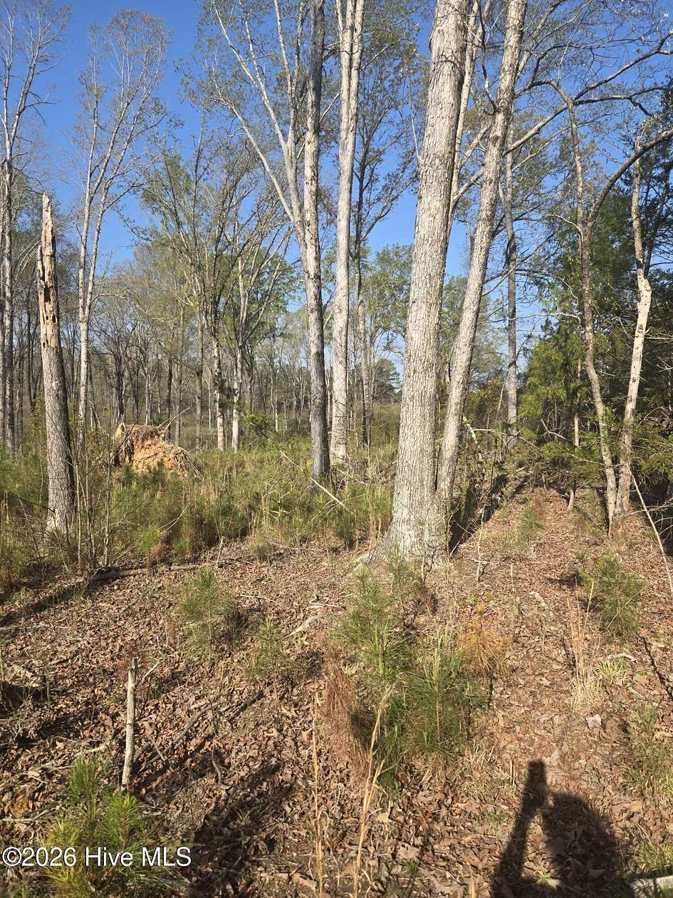 12.5 Acres of Land for Sale in Lincolnton, Georgia