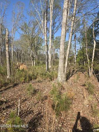 12.5 Acres of Land for Sale in Lincolnton, Georgia