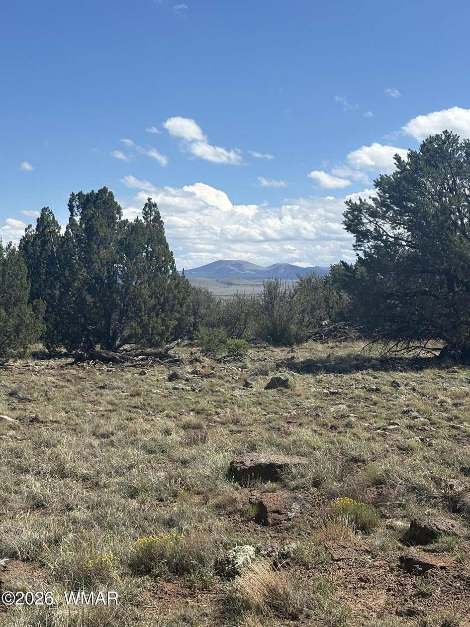 5 Acres of Recreational Land for Sale in Concho, Arizona