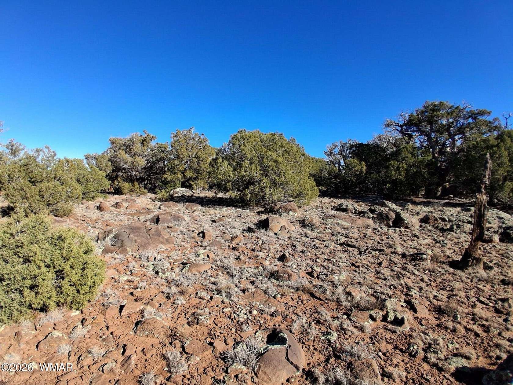 5 Acres of Land for Sale in Concho, Arizona