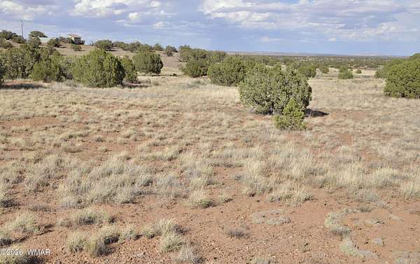 37 Acres of Agricultural & Residential Land for Sale in Concho, Arizona