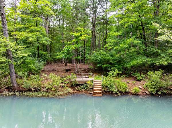 15 Acres of Recreational Land for Sale in Hector, Arkansas