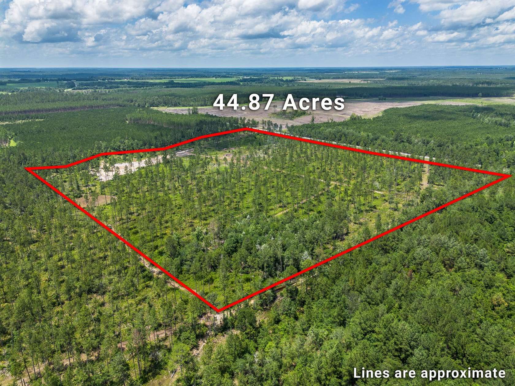 44.9 Acres of Recreational Land for Sale in Jacksonville, Georgia