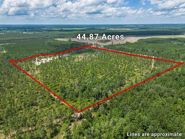 44.9 Acres of Recreational Land for Sale in Jacksonville, Georgia