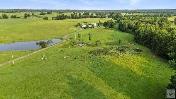 53.9 Acres of Agricultural Land with Home for Sale in Bloomburg, Texas