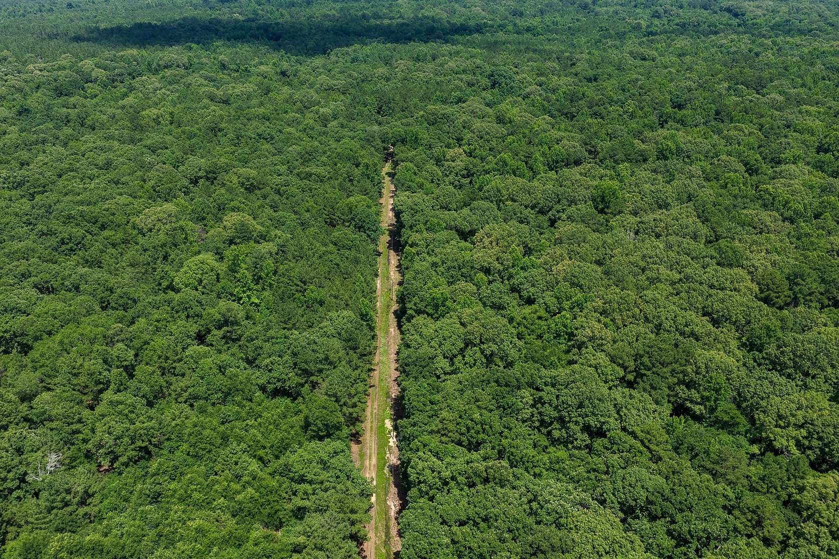 127 Acres of Recreational Land for Sale in Clarksville, Texas