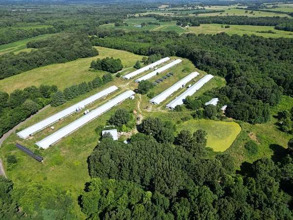 42 Acres of Agricultural Land for Sale in Providence, Kentucky