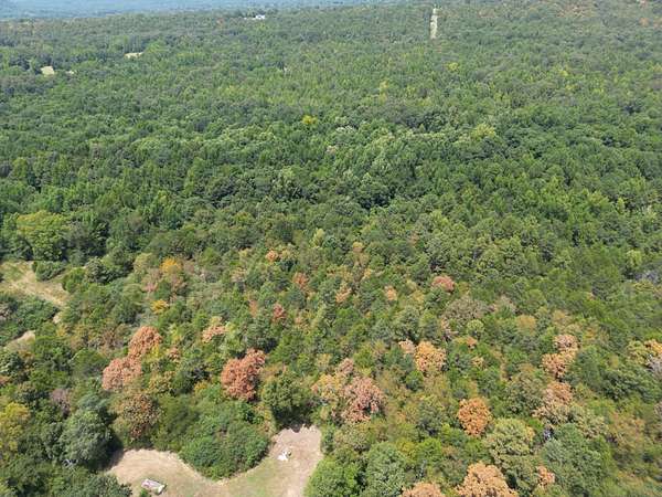 13 Acres of Land for Sale in Springfield, Arkansas