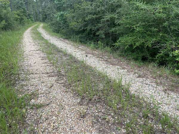 49 Acres of Land for Sale in Petal, Mississippi
